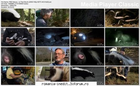 pbs nature that skunk (2009) mirror and screen shots: