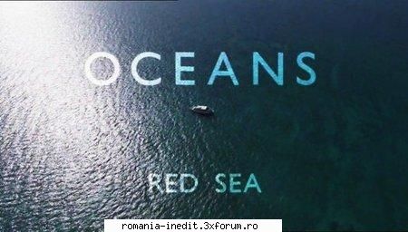 bbc oceans: the red sea bbc oceans: the red sea 720p mkv x264 1280x720 5000kbps 25fps ac3 6ch 48khz