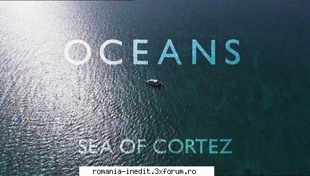 bbc oceans: sea cortez bbc oceans: sea cortez 720p mkv x264 1280x720 5000kbps 25fps ac3 6ch 48khz