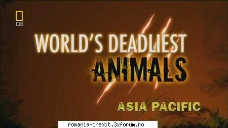 nat geo world's deadliest animals asia pacific nat geo world's deadliest animals asia pacific