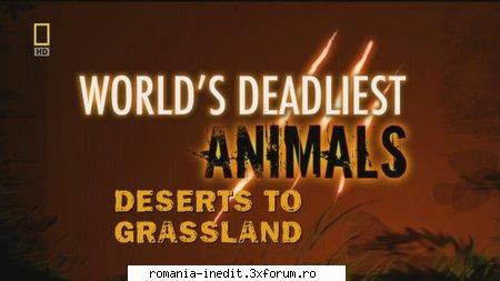nat geo world's deadliest animals deserts grassland nat geo world's deadliest animals deserts