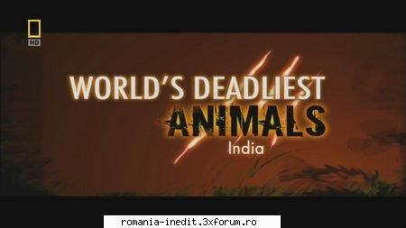 nat geo world's deadliest animals india nat geo world's deadliest animals india (2007) russian 720p