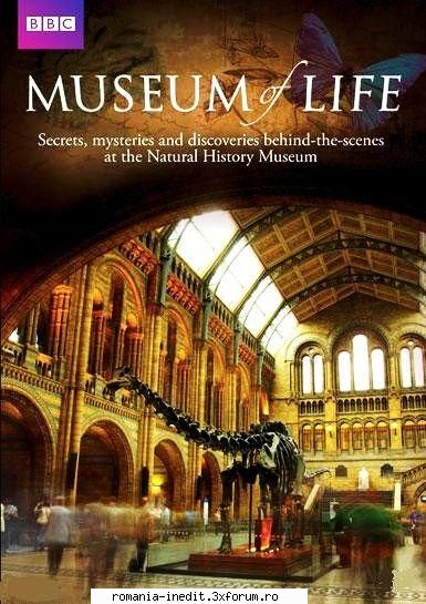[bbc] museum life (2010) [bbc] museum life life gives viewers inside look the natural history museum
