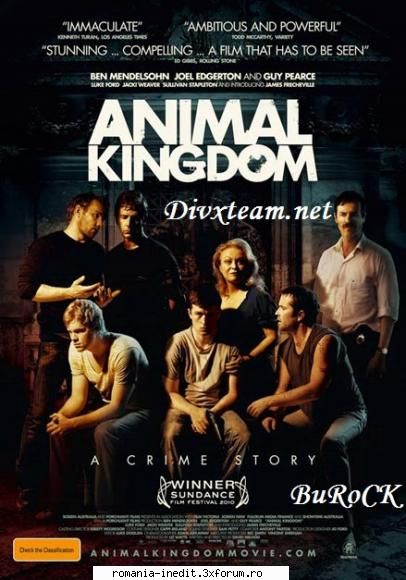 direct download animal kingdom 2010 the story seventeen year-old (josh) navigates his survival