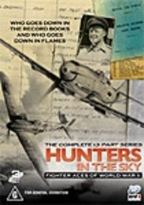 hunters the sky – fighter aces world war (2003) hunters the sky – fighter aces world war
